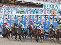 Belmont Stakes Betting