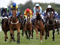 Glorious Goodwood Betting