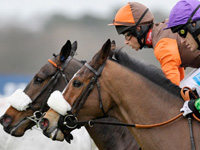 King George VI Chase Betting