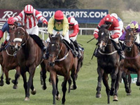 Punchestown Festival Betting