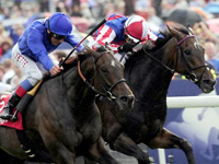 York Ebor Betting