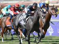 Breeders' Cup Betting