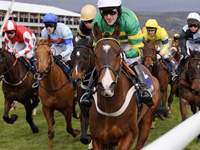 Cheltenham Festival Betting