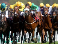 Grand National Betting