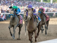 Preakness Betting