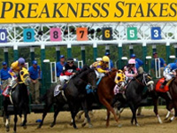 Preakness Betting