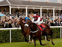 Racing Post Trophy Betting