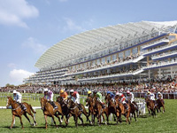 Royal Ascot Betting