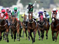 Royal Ascot Betting