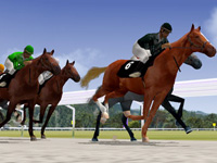 Virtual Horse Racing Betting